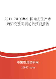 2011-2016年中国电力生产市场研究及发展前景预测报告