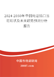 2024-2030年中国电话插口当前现状及未来趋势预测分析报告 2024-2030年中国电话插口当前现状及未来趋势预测分析报告