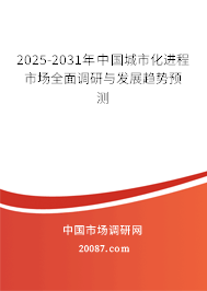 2025-2031年中国城市化进程市场全面调研与发展趋势预测