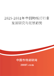 2024-2030年中国地板灯行业发展研究与前景趋势