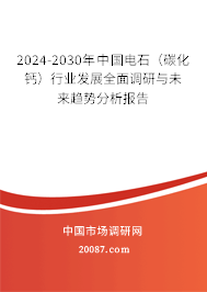 2024-2030年中国电石（碳化钙）行业发展全面调研与未来趋势分析报告