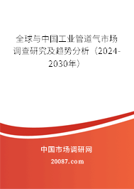全球与中国工业管道气市场调查研究及趋势分析（2024-2030年）