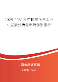 2025-2031年中国果汁汽水行业发展分析与市场前景报告 2025-2031年中国果汁汽水行业发展分析与市场前景报告
