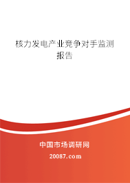 核力发电产业竞争对手监测报告 核力发电产业竞争对手监测报告