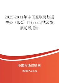 2025-2031年中国互联网数据中心(IDC)IT行业现状及发展前景报告 2025-2031年中国互联网数据中心(IDC)IT行业现状及发展前景报告