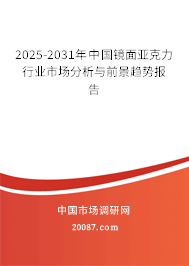 2025-2031年中国镜面亚克力行业市场分析与前景趋势报告