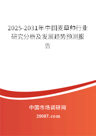 2025-2031年中国麦草帅行业研究分析及发展趋势预测报告