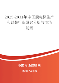 2025-2031年中国膜电极生产和封装行业研究分析与市场前景 2025-2031年中国膜电极生产和封装行业研究分析与市场前景