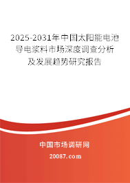 2025-2031年中国太阳能电池导电浆料市场深度调查分析及发展趋势研究报告