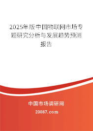 2025年版中国物联网市场专题研究分析与发展趋势预测报告