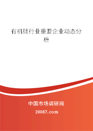 有机硅行业重要企业动态分析