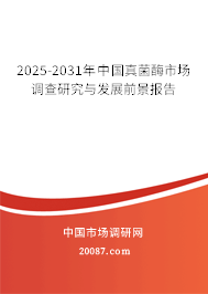 2025-2031年中国真菌酶市场调查研究与发展前景报告 2025-2031年中国真菌酶市场调查研究与发展前景报告