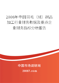 2008年中国羽毛（绒）制品加工行业财务数据及重点企业财务指标分析报告