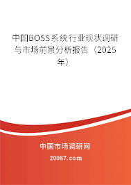 中国BOSS系统行业现状调研与市场前景分析报告(2025年) 中国BOSS系统行业现状调研与市场前景分析报告(2025年)