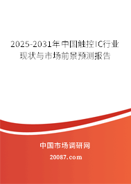 2025-2031年中国触控IC行业现状与市场前景预测报告