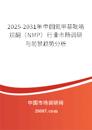 2025-2031年中国氮甲基吡咯烷酮（NMP）行业市场调研与前景趋势分析