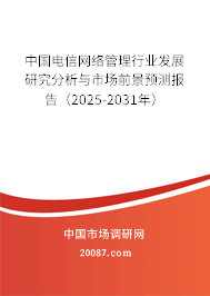 中国电信网络管理行业发展研究分析与市场前景预测报告（2025-2031年）