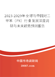 2023-2029年全球与中国对二甲苯（PX）行业发展深度调研与未来趋势预测报告