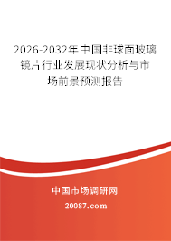 2026-2032年中国非球面玻璃镜片行业发展现状分析与市场前景预测报告