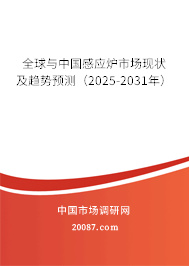 全球与中国感应炉市场现状及趋势预测（2025-2031年）