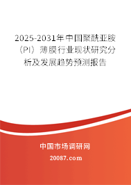 2025-2031年中国聚酰亚胺（PI）薄膜行业现状研究分析及发展趋势预测报告