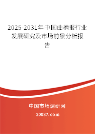 2025-2031年中国曲柄报行业发展研究及市场前景分析报告