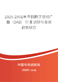 2025-2031年中国数字音频广播（DAB）行业调研与发展趋势研究