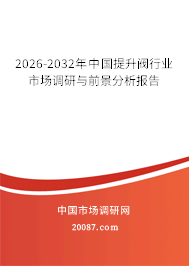 2026-2032年中国提升阀行业市场调研与前景分析报告