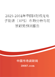 2025-2031年中国X射线光电子能谱（XPS）市场分析与前景趋势预测报告