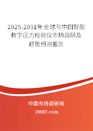 2025-2031年全球与中国智能数字压力校验仪市场调研及趋势预测报告