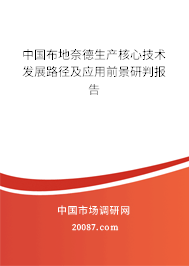 中国布地奈德生产核心技术发展路径及应用前景研判报告