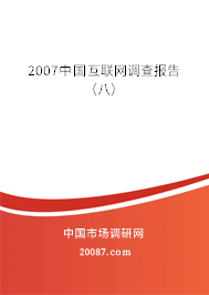 2007中国互联网调查报告（八）