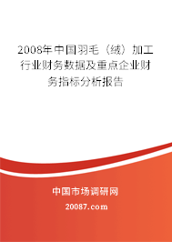 2008年中国羽毛（绒）加工行业财务数据及重点企业财务指标分析报告