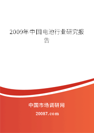 2009年中国电池行业研究报告