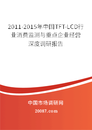 2011-2015年中国TFT-LCD行业消费监测与重点企业经营深度调研报告