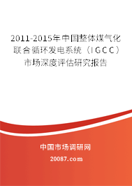 2011-2015年中国整体煤气化联合循环发电系统（IGCC）市场深度评估研究报告