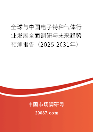 全球与中国电子特种气体行业发展全面调研与未来趋势预测报告（2025-2031年）
