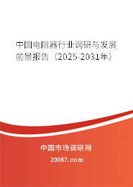 中国电阻器行业调研与发展前景报告（2025-2031年）