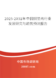 2025-2031年中国钢垫片行业发展研究与趋势预测报告 2025-2031年中国钢垫片行业发展研究与趋势预测报告