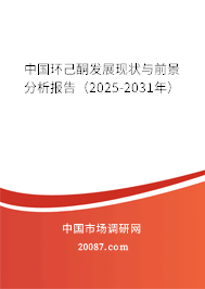 中国环己酮发展现状与前景分析报告（2025-2031年）