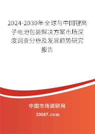 2024-2030年全球与中国锂离子电池包装解决方案市场深度调查分析及发展趋势研究报告