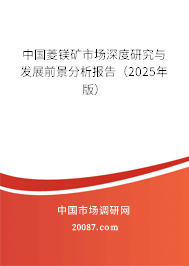 中国菱镁矿市场深度研究与发展前景分析报告（2025年版）
