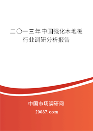 二〇一三年中国强化木地板行业调研分析报告
