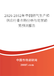 2026-2032年中国燃气生产和供应行业市场分析与前景趋势预测报告 2026-2032年中国燃气生产和供应行业市场分析与前景趋势预测报告