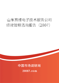 山东赛维电子技术服务公司绩效管理咨询报告（2007）