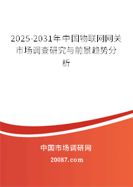 2025-2031年中国物联网网关市场调查研究与前景趋势分析 2025-2031年中国物联网网关市场调查研究与前景趋势分析