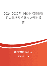 2023-2029年中国小灵通市场研究分析及发展趋势预测报告 2023-2029年中国小灵通市场研究分析及发展趋势预测报告