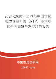 2024-2030年全球与中国增强热塑性塑料管（RTP）市场现状全面调研与发展趋势报告
