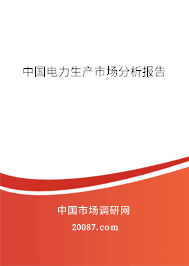 中国电力生产市场分析报告 中国电力生产市场分析报告