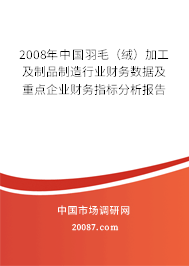 2008年中国羽毛（绒）加工及制品制造行业财务数据及重点企业财务指标分析报告